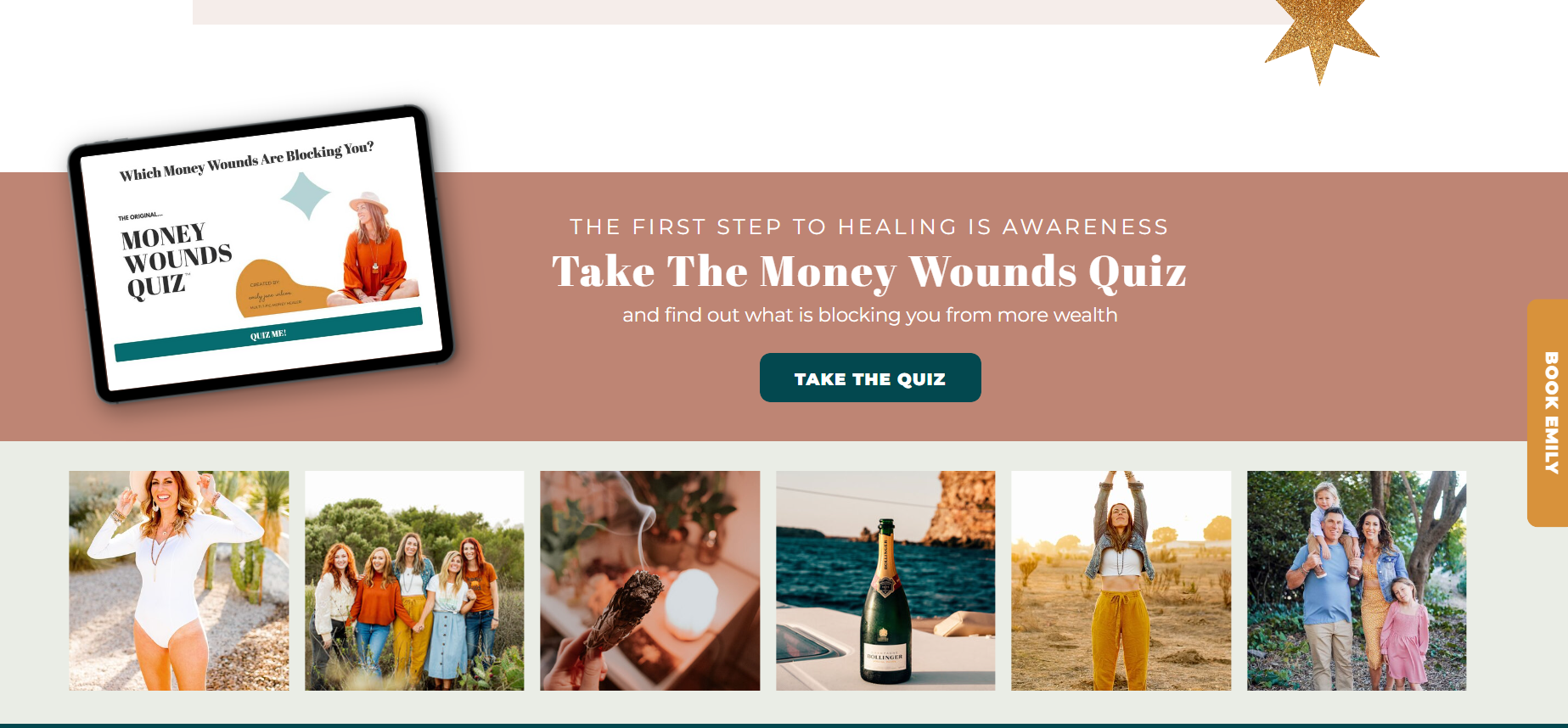 Emily June Wilcox - Money Wound Medicine